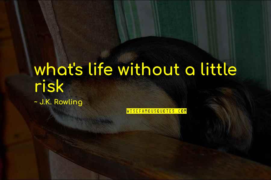 Love Png Quotes By J.K. Rowling: what's life without a little risk