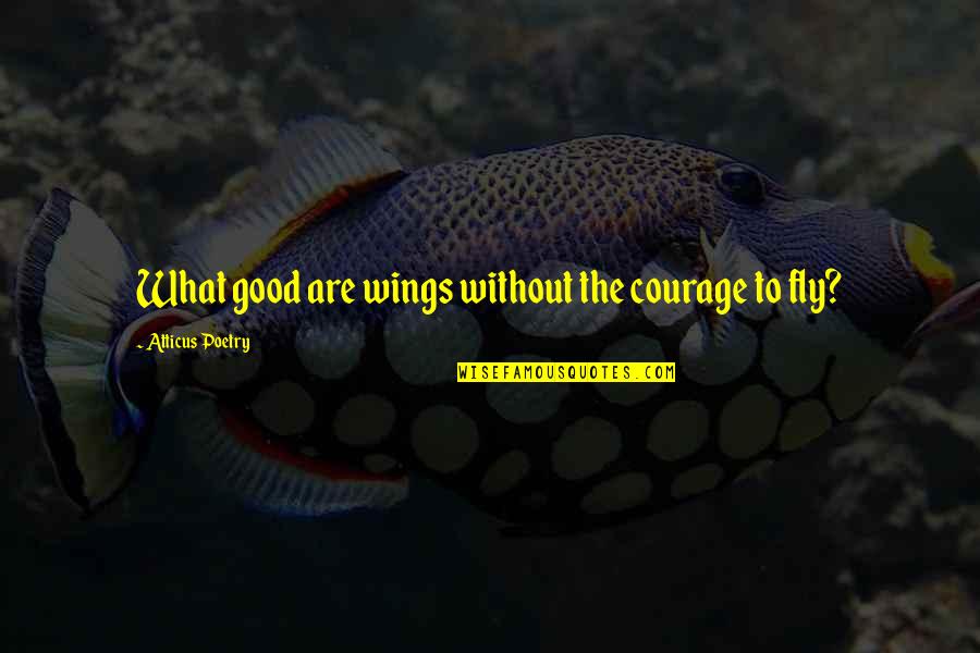 Love Poems Or Quotes By Atticus Poetry: What good are wings without the courage to