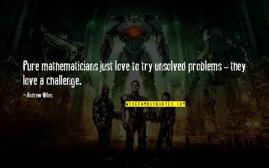 Love Problems Quotes By Andrew Wiles: Pure mathematicians just love to try unsolved problems