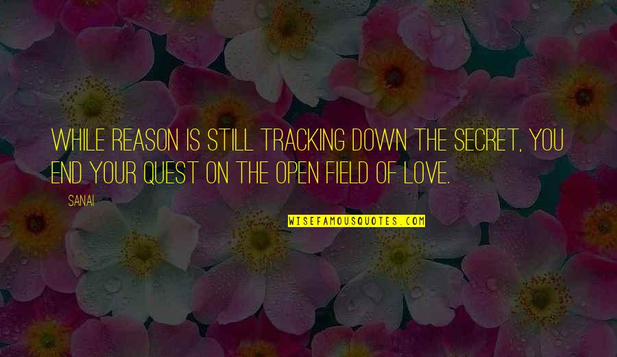 Love Quest Quotes By Sanai: While reason is still tracking down the secret,