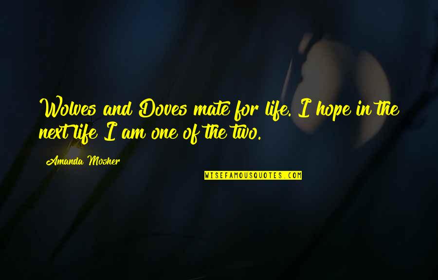 Love Quotes And Sayings Quotes By Amanda Mosher: Wolves and Doves mate for life. I hope