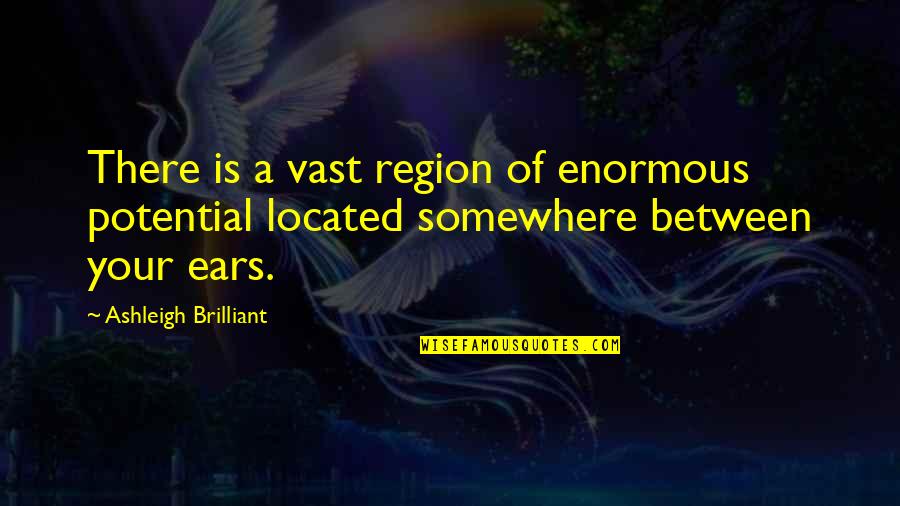 Love Reciprocated Quotes By Ashleigh Brilliant: There is a vast region of enormous potential