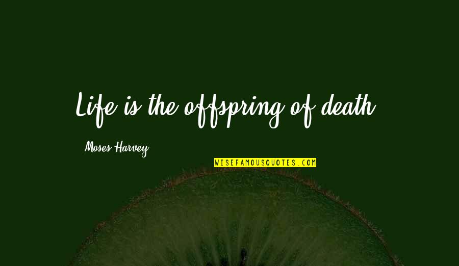 Love Rude Quotes By Moses Harvey: Life is the offspring of death.