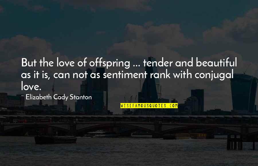 Love Sentiment Quotes By Elizabeth Cady Stanton: But the love of offspring ... tender and Love Sentiment Quotes By Elizabeth Cady Stanton: But the love of offspring ... tender and