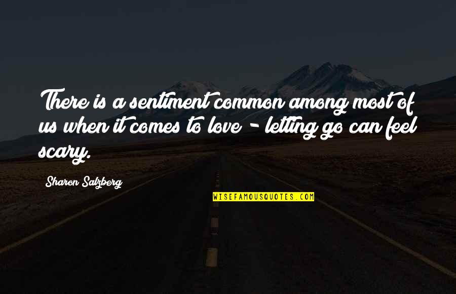 Love Sentiment Quotes By Sharon Salzberg: There is a sentiment common among most of