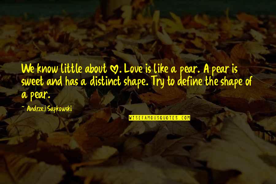 Love Shape Quotes By Andrzej Sapkowski: We know little about love. Love is like