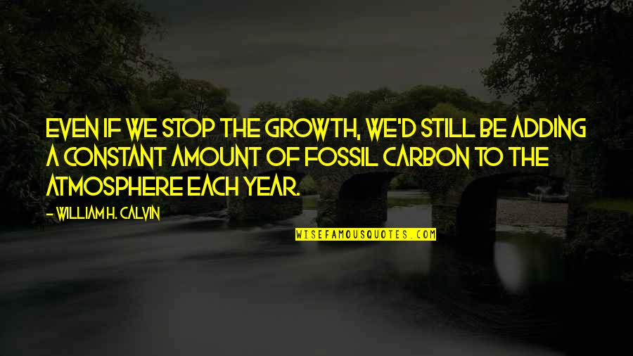 Love Should Not Hurt Quotes By William H. Calvin: Even if we stop the growth, we'd still Love Should Not Hurt Quotes By William H. Calvin: Even if we stop the growth, we'd still