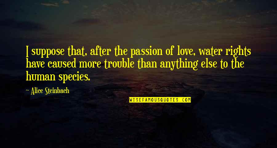 Love Species Quotes By Alice Steinbach: I suppose that, after the passion of love,
