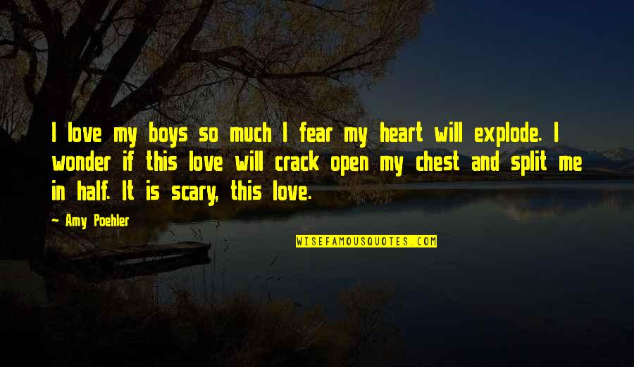 Love Split Quotes By Amy Poehler: I love my boys so much I fear