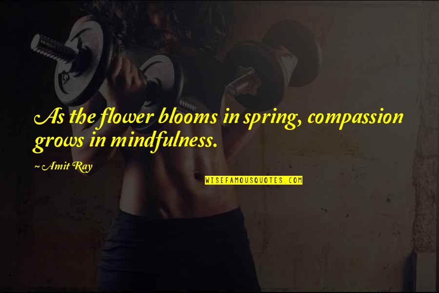 Love Spring Quotes By Amit Ray: As the flower blooms in spring, compassion grows