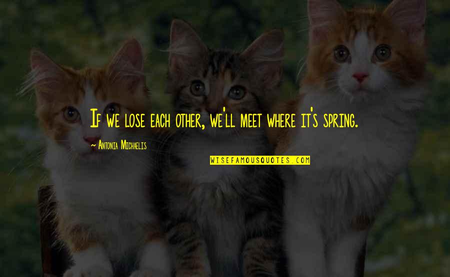 Love Spring Quotes By Antonia Michaelis: If we lose each other, we'll meet where