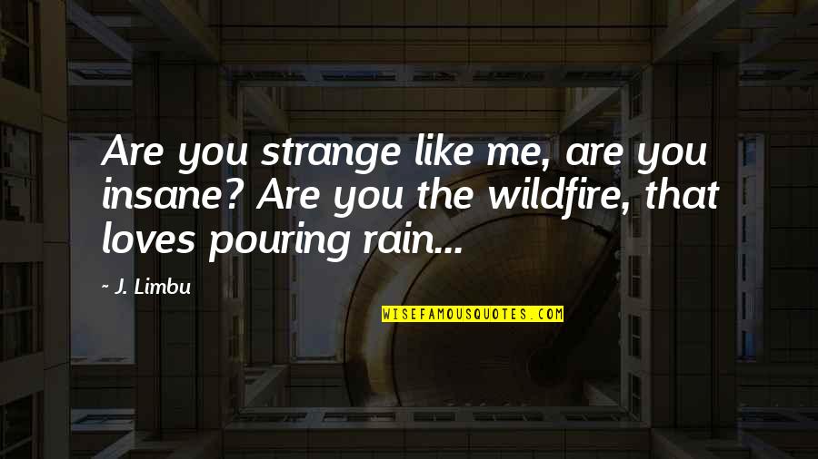 Love Stranger Quotes By J. Limbu: Are you strange like me, are you insane?