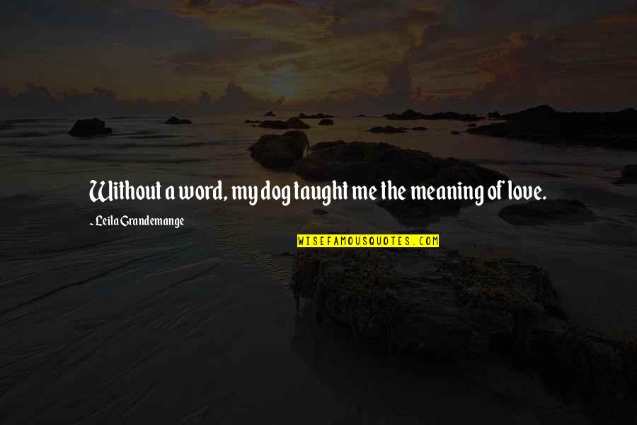 Love Taught Me Quotes By Leila Grandemange: Without a word, my dog taught me the