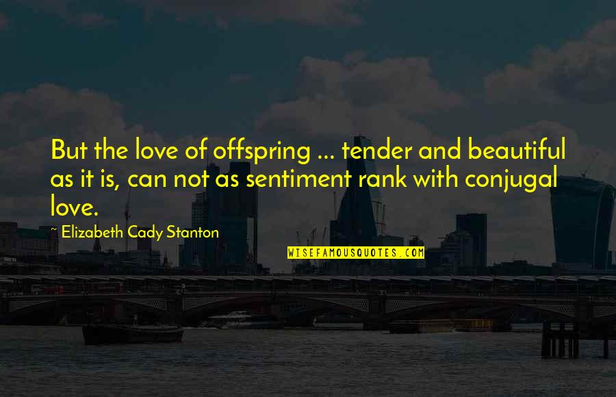 Love Tender Quotes By Elizabeth Cady Stanton: But the love of offspring ... tender and