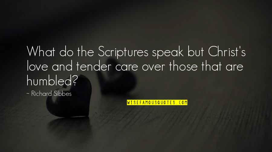 Love Tender Quotes By Richard Sibbes: What do the Scriptures speak but Christ's love