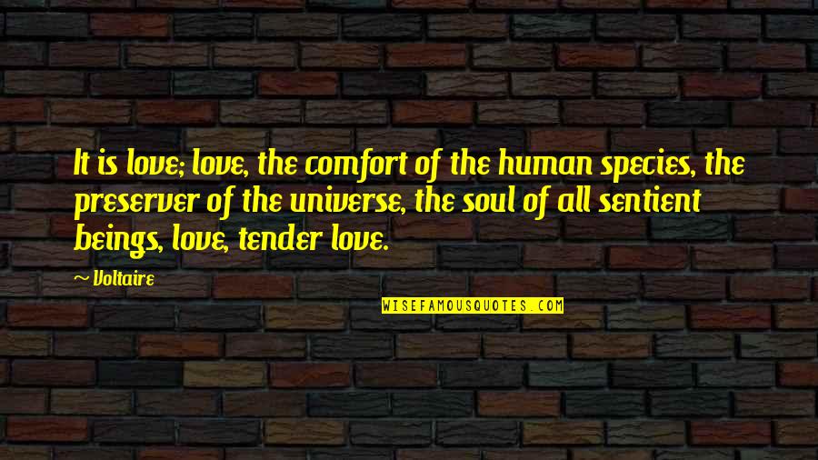 Love Tender Quotes By Voltaire: It is love; love, the comfort of the