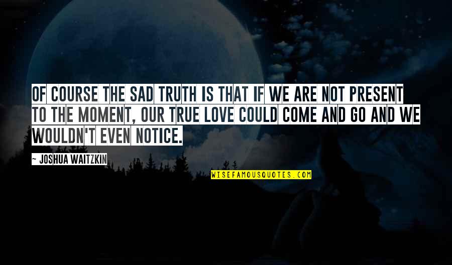 Love That Are True Quotes By Joshua Waitzkin: Of course the sad truth is that if Love That Are True Quotes By Joshua Waitzkin: Of course the sad truth is that if