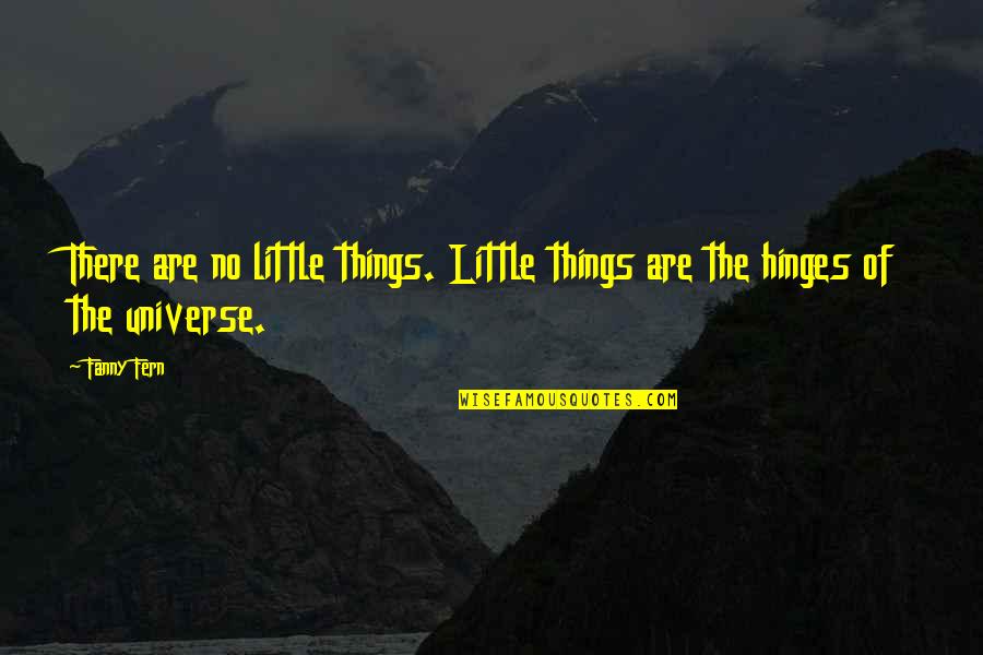 Love That Rhyme Quotes By Fanny Fern: There are no little things. Little things are