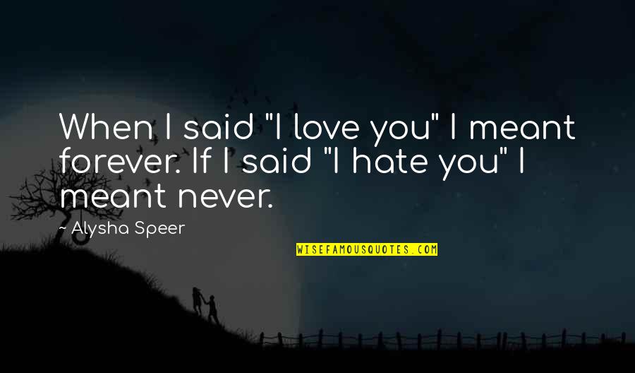 Love That Was Never Meant To Be Quotes By Alysha Speer: When I said "I love you" I meant