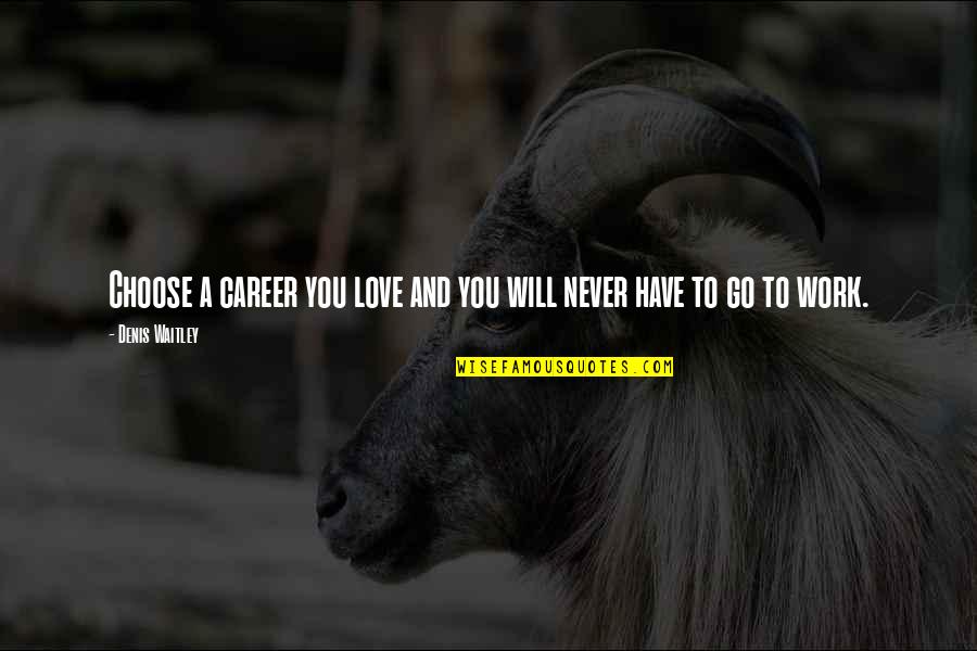 Love That Will Never Work Quotes By Denis Waitley: Choose a career you love and you will