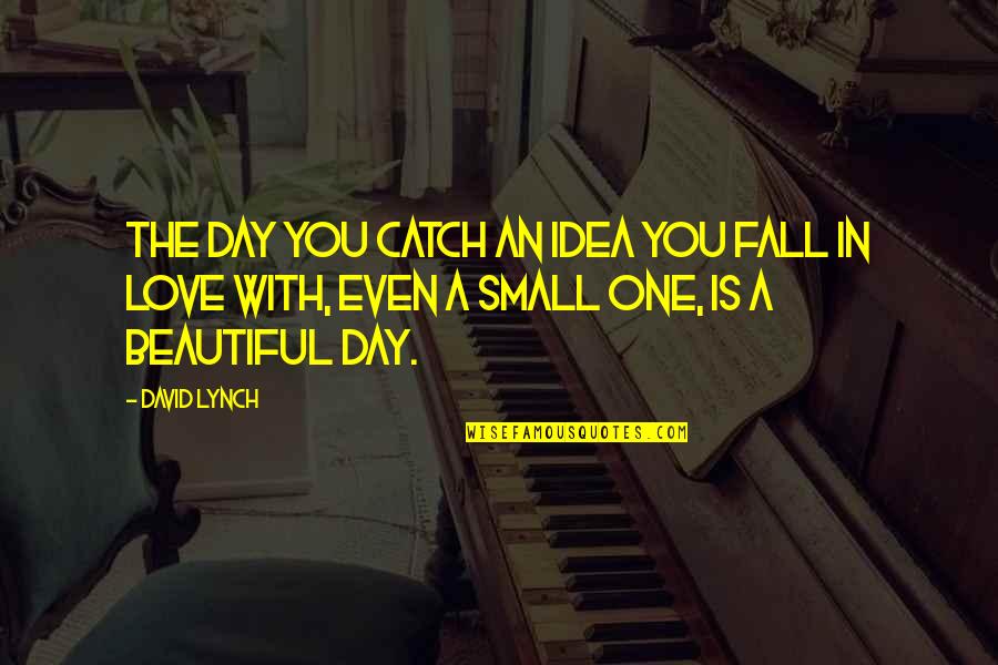 Love The One You're With Quotes By David Lynch: The day you catch an idea you fall