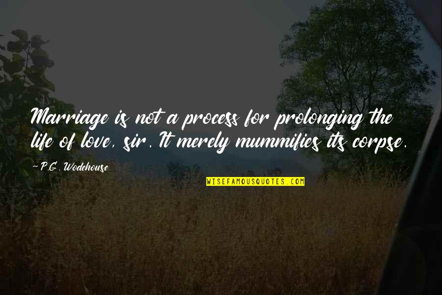 Love The Process Quotes By P.G. Wodehouse: Marriage is not a process for prolonging the