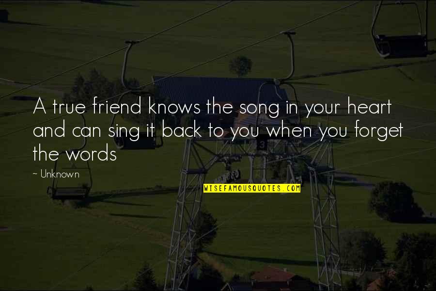 Love The Song Quotes By Unknown: A true friend knows the song in your