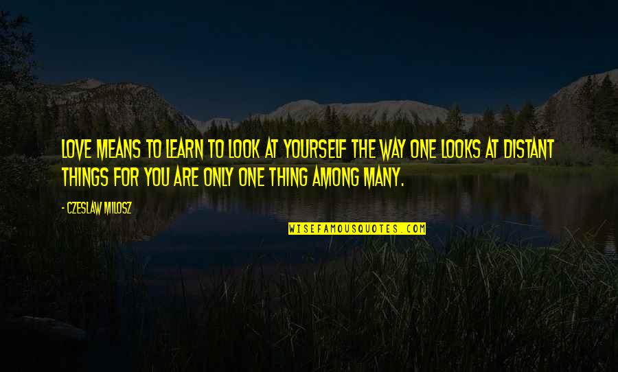 Love The Way You Are Quotes By Czeslaw Milosz: Love means to learn to look at yourself
