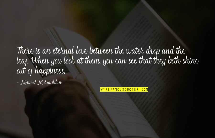 Love Them Both Quotes By Mehmet Murat Ildan: There is an eternal love between the water Love Them Both Quotes By Mehmet Murat Ildan: There is an eternal love between the water
