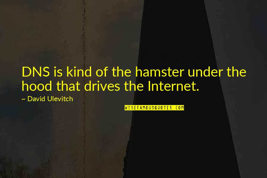 Love Threads Quotes By David Ulevitch: DNS is kind of the hamster under the Love Threads Quotes By David Ulevitch: DNS is kind of the hamster under the