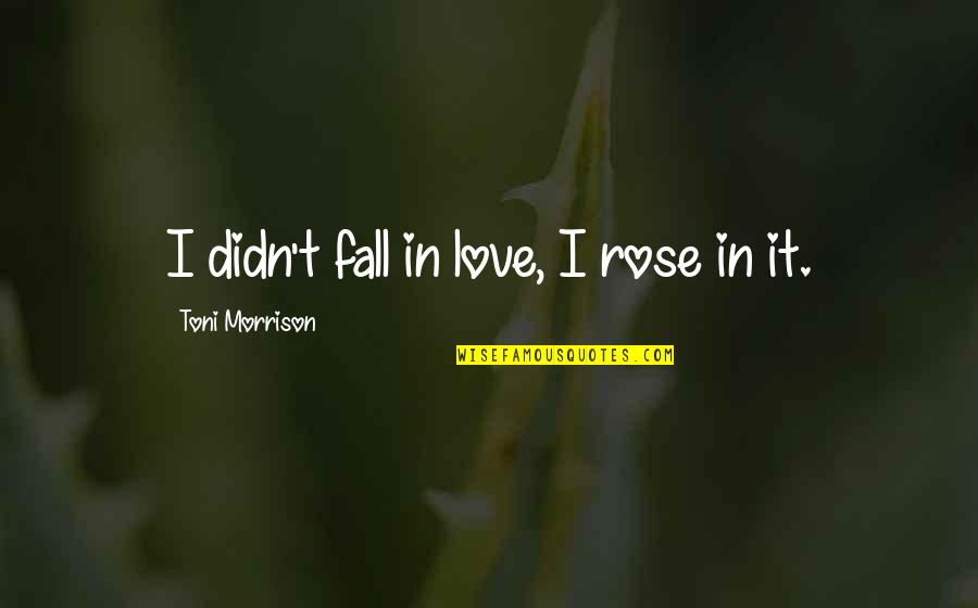 Love Toni Morrison Quotes By Toni Morrison: I didn't fall in love, I rose in