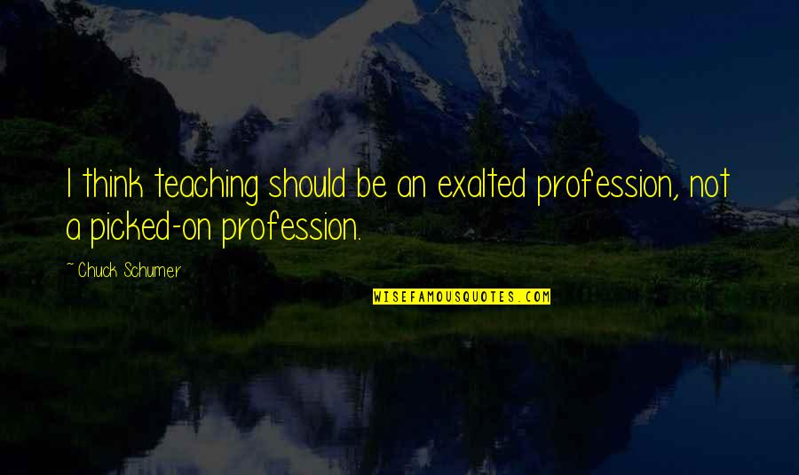 Love Transcends Boundaries Quotes By Chuck Schumer: I think teaching should be an exalted profession,