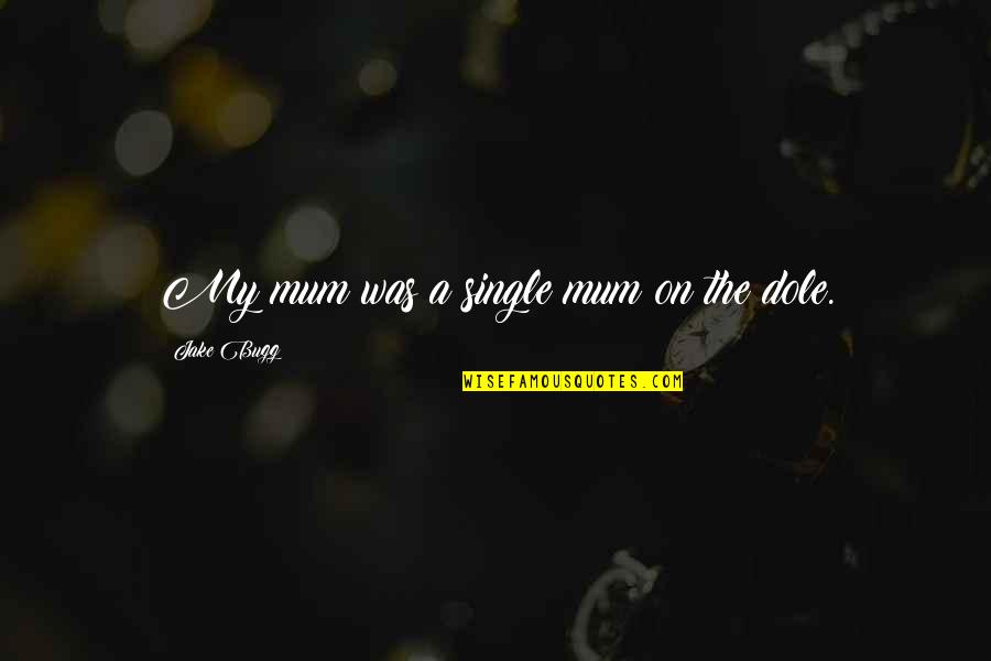 Love Travers Quotes By Jake Bugg: My mum was a single mum on the Love Travers Quotes By Jake Bugg: My mum was a single mum on the