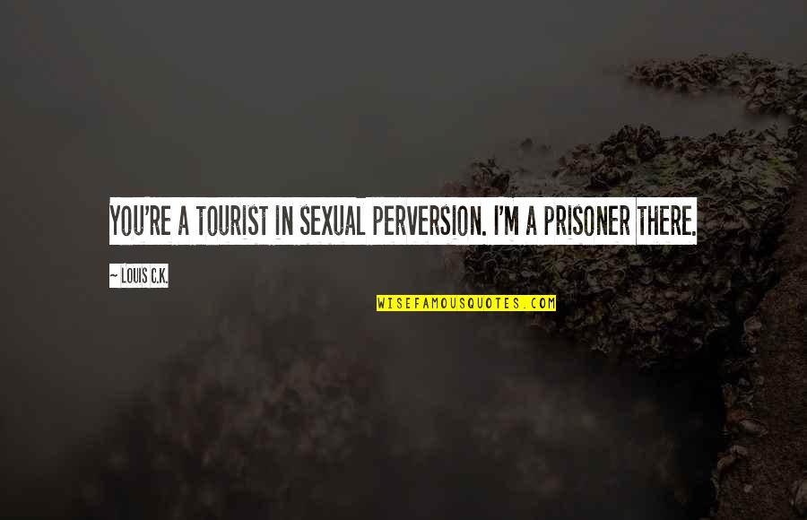 Love Triangle Drama Quotes By Louis C.K.: You're a tourist in sexual perversion. I'm a