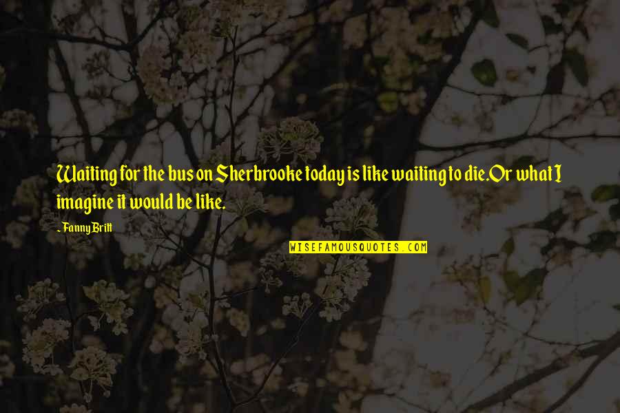 Love Turtle Quotes By Fanny Britt: Waiting for the bus on Sherbrooke today is