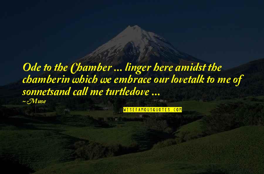 Love Turtle Quotes By Muse: Ode to the Chamber ... linger here amidst