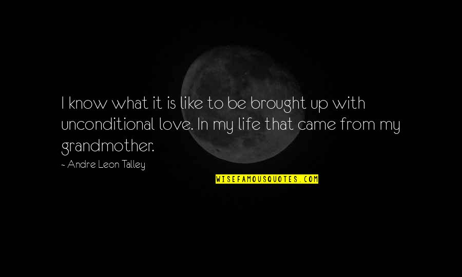 Love Unconditional Quotes By Andre Leon Talley: I know what it is like to be