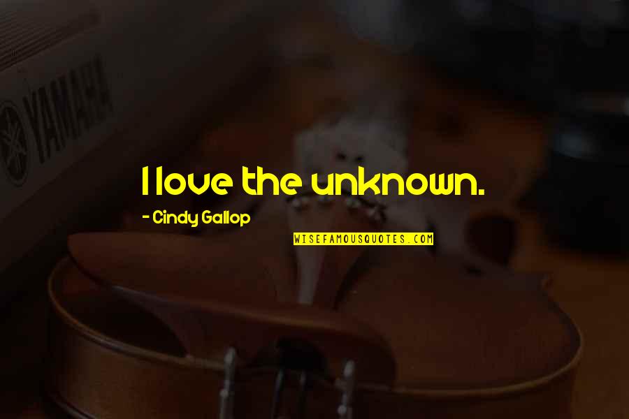 Love Unknown Quotes By Cindy Gallop: I love the unknown.