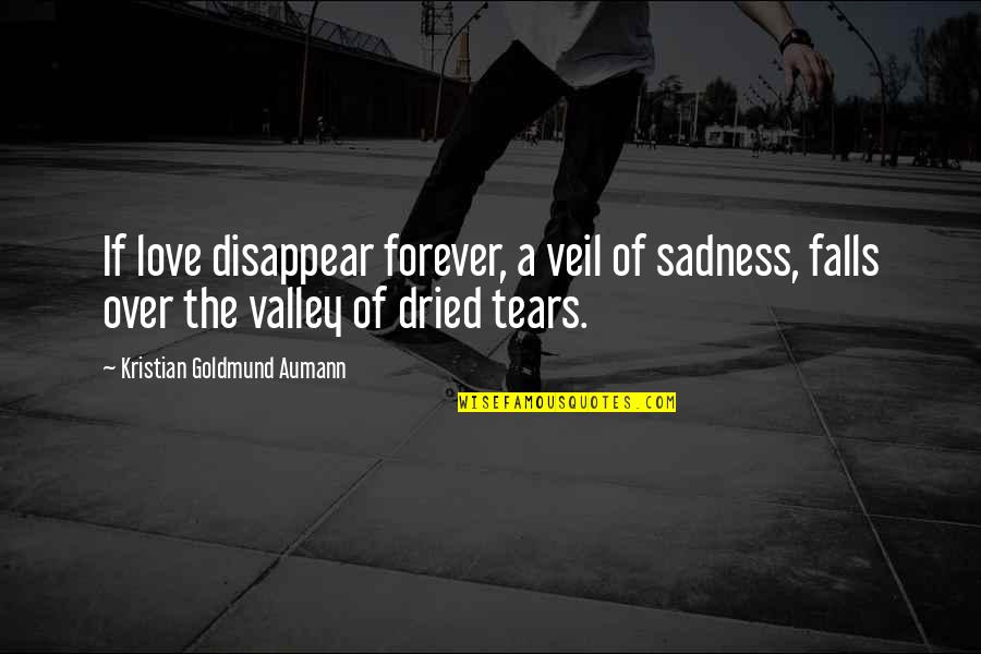 Love Veil Quotes By Kristian Goldmund Aumann: If love disappear forever, a veil of sadness,