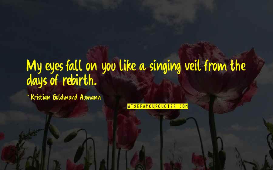 Love Veil Quotes By Kristian Goldmund Aumann: My eyes fall on you like a singing