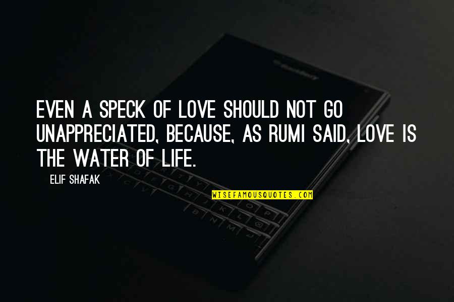 Love Water Quotes By Elif Shafak: Even a speck of love should not go