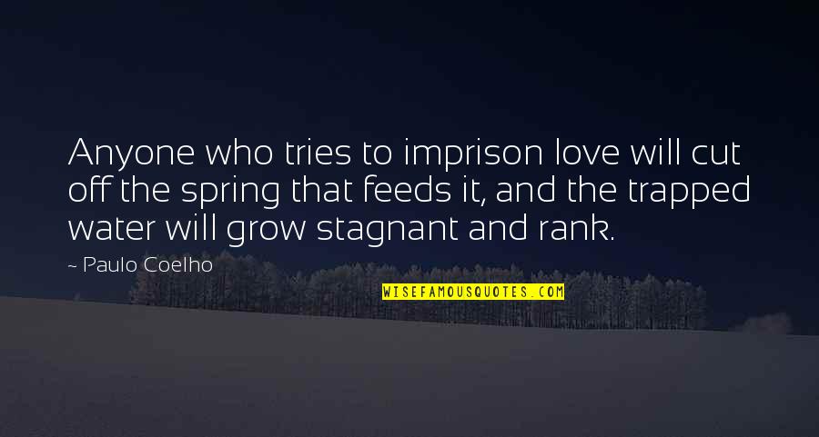 Love Water Quotes By Paulo Coelho: Anyone who tries to imprison love will cut