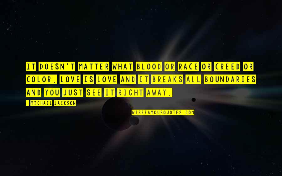 Love What You See Quotes By Michael Jackson: It doesn't matter what blood or race or
