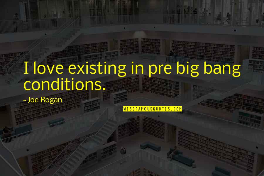 Love With Conditions Quotes By Joe Rogan: I love existing in pre big bang conditions.