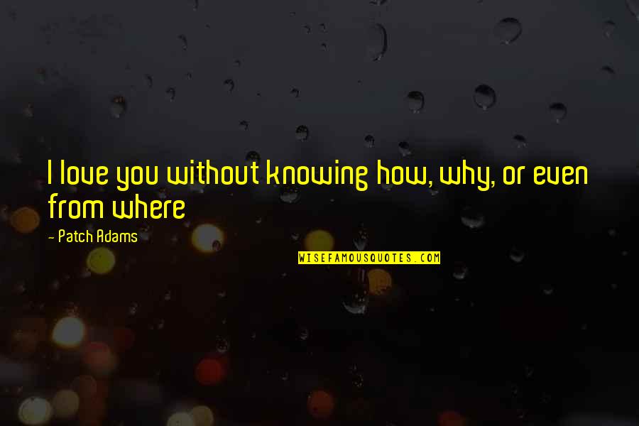 Love Without Knowing Quotes By Patch Adams: I love you without knowing how, why, or