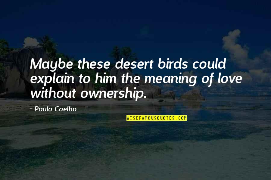 Love Without Meaning Quotes By Paulo Coelho: Maybe these desert birds could explain to him