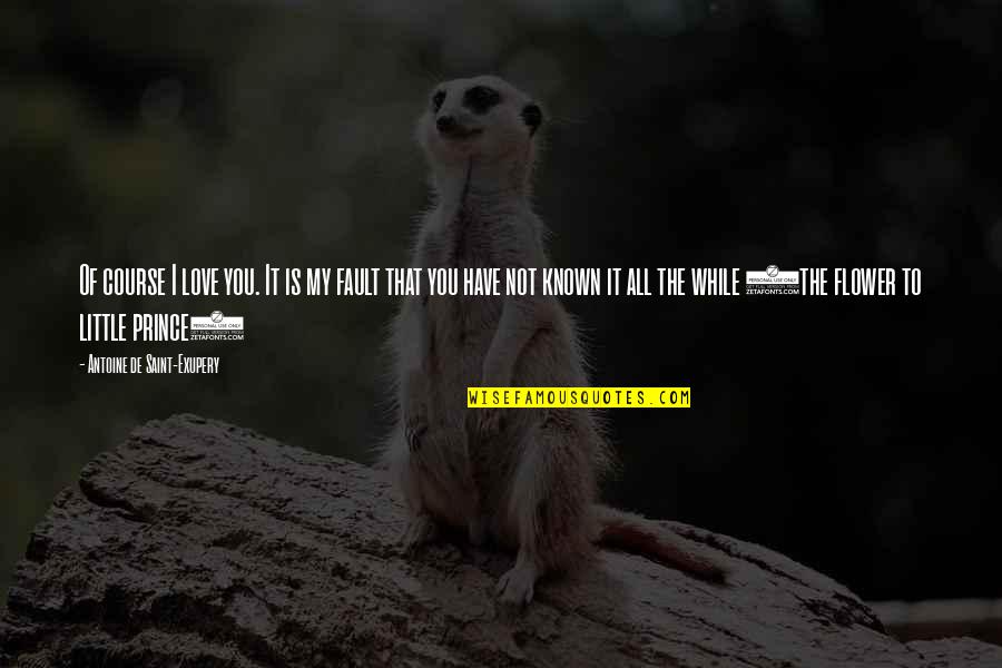 Love Without Selfishness Quotes By Antoine De Saint-Exupery: Of course I love you. It is my Love Without Selfishness Quotes By Antoine De Saint-Exupery: Of course I love you. It is my
