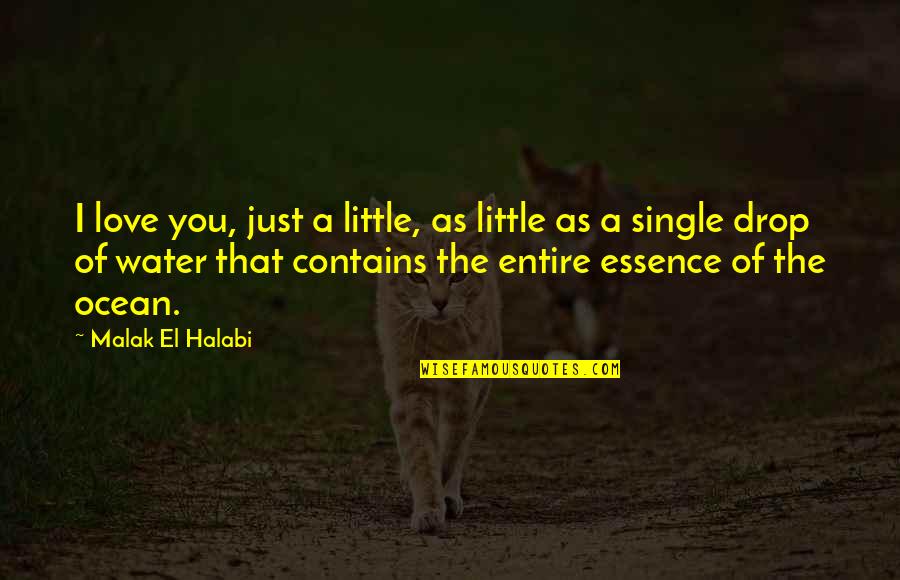 Love You Deep Quotes By Malak El Halabi: I love you, just a little, as little