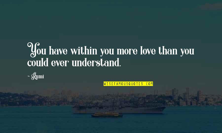 Love You More Quotes By Rumi: You have within you more love than you