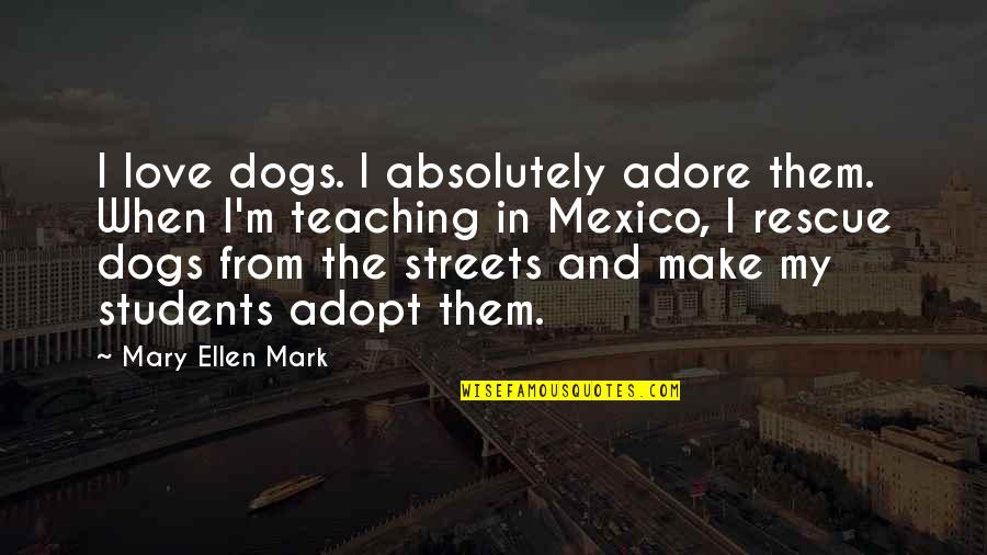 Love You My Students Quotes By Mary Ellen Mark: I love dogs. I absolutely adore them. When Love You My Students Quotes By Mary Ellen Mark: I love dogs. I absolutely adore them. When